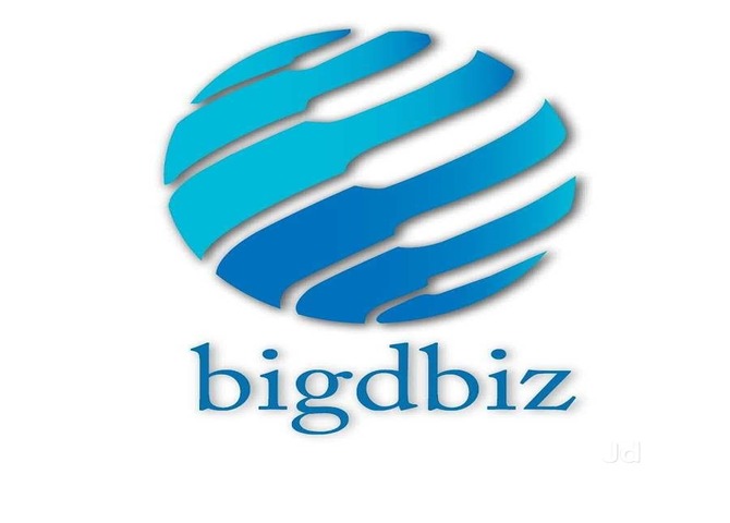 Bigdbiz Optical Management